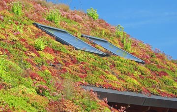 Blaydon living roof systems